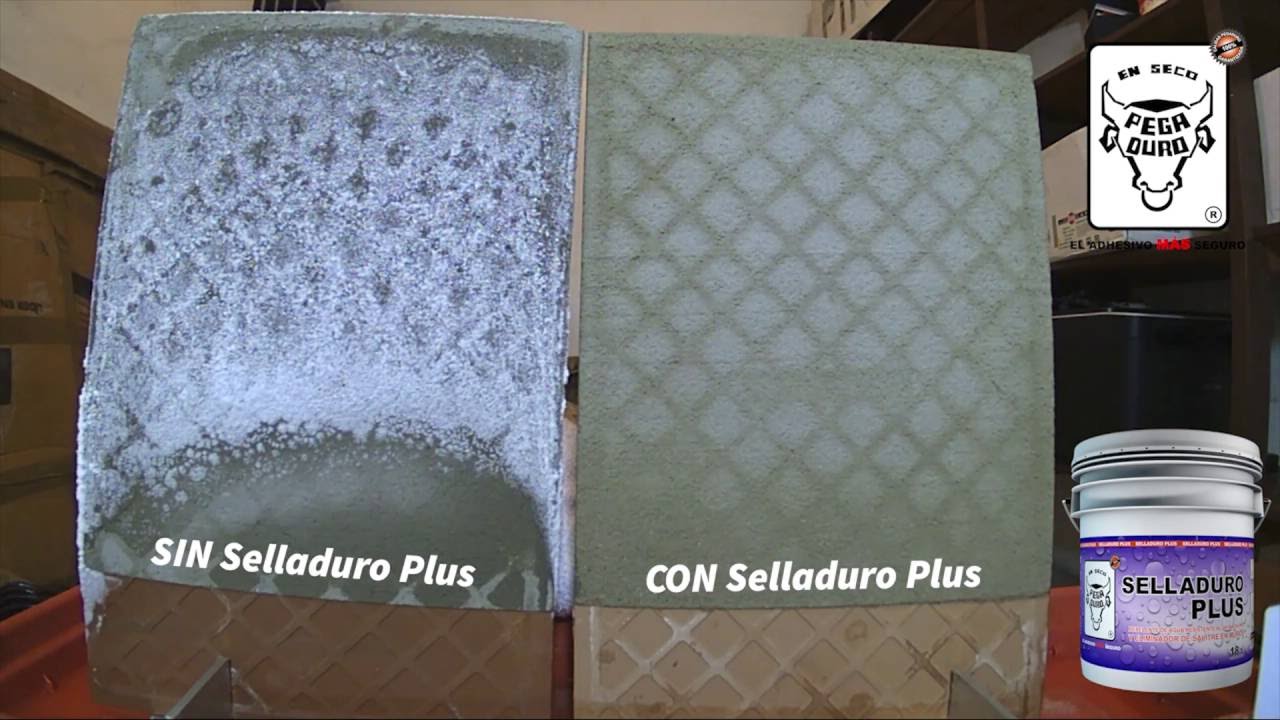 SELLADURO PLUS ANTISALITRE INSTALACION